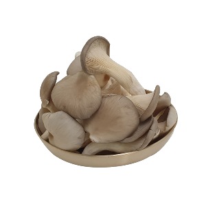 무농약 느타리버섯(280g)